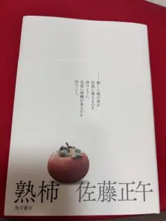 熟柿⭐︎佐藤正午