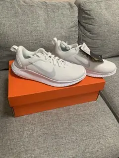 NIKE ナイキ　フレックス エクスペリエンス ラン 12 DV0746-100