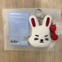 MINITEEN FACE PLUSH KEYRING プギュリ スングァン - メルカリ