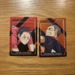 ハイキュー 田中龍之介 福永招平