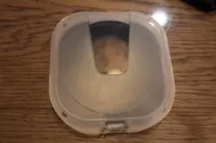 Item thumbnail for item 3444a046-f905-49f6-a6cb-982b3bfef21f