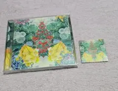 Novelbright WONDERLAND 特典付き