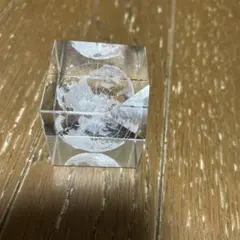 Item thumbnail for item b3da8f99-ef18-4504-9d57-041d9235b539