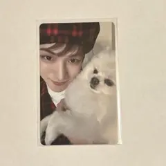 SEVENTEEN エスクプス スンチョル クマ FML 東京 ユニバ トレカ - メルカリ