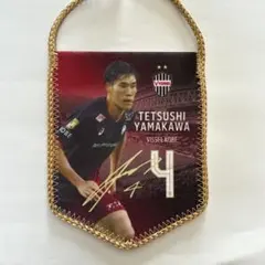 ヴィッセル 記念グッズ