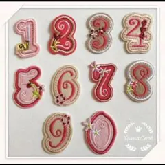 【F25】刺繍アイロンワッペン 花の数字　3枚選ぶ