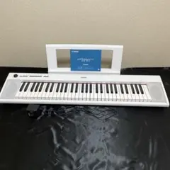 Roland GO-PIANO 61-pA. Alexa内蔵 携帯ケース付き - メルカリ