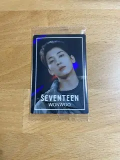SEVENTEEN ウォヌ WONWOO レア ウエハース  シール ステッカー