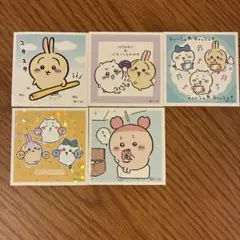 Yuri様