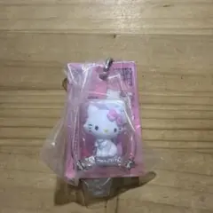HELLO KITTY パッケージミニチュアコレクション　チャーミーキティ