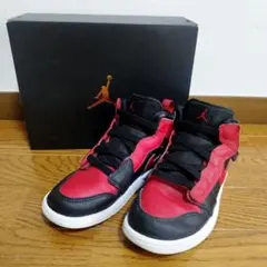 限定品NIKE エアジョーダン1 レトロ ハイ タスマニアンデビル 21
