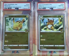 ピカチュウ　ライチュウ　25th PSA10 連番