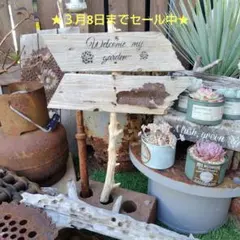 2026年最新】ジャンクガーデンの人気アイテム - メルカリ