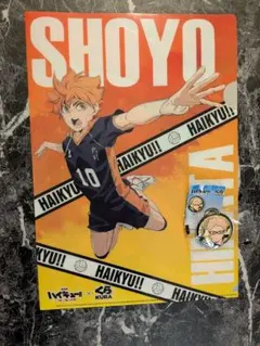 ハイキュー　くら寿司　ノベルティ　クリアファイル　日向翔陽　缶バッジ　月島蛍