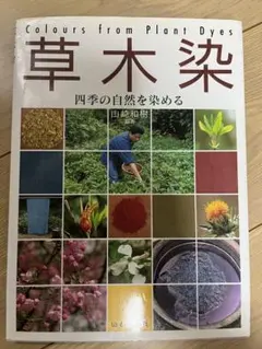 草木染―四季の自然を染める (山と溪谷社) 山崎和樹 著のサムネイル
