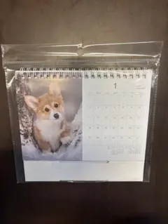 Item thumbnail for item 0e540e6e-5d82-409f-a31e-f5b7e18b26e5