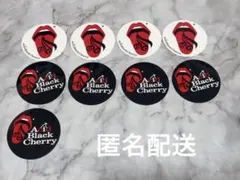 Acid Black Cherry ステッカー