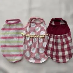 VERY 犬服 3点セット 小型犬用　D3号のサムネイル