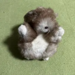 2026年最新】モンスイユ くま ぬいぐるみの人気アイテム - メルカリ