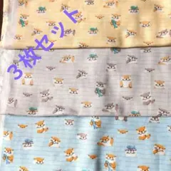 Item thumbnail for item 13bb57ee-f197-4fb5-9d05-1a3c3f312dcc