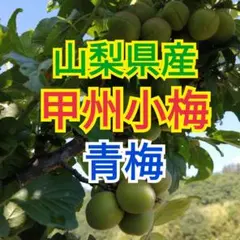 山梨県産 5kg 新鮮 青梅 甲州小梅 - メルカリ