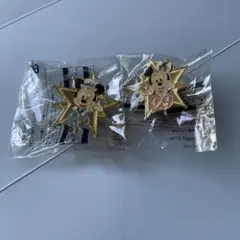 東京ディズニーシー20周年ミッキー・ミニー ピンバッジ 2個セット