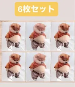 6枚セット 柴犬 おなかぷにぷに お腹プニプニシール 3Dシールステッカ 立体