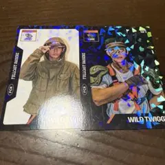 fullcastraiserz やまと wildtwiggz キラ トレカ