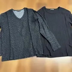 GARNIERトップス2枚