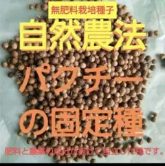 いそら様 リクエスト 2点 まとめ商品