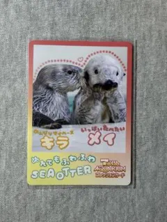 鳥羽水族館コレクションカード第2弾 キラ メイ - メルカリ