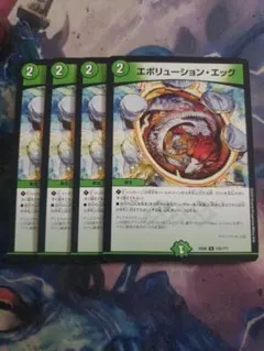 エボリューションエッグ 4枚セット　C5138