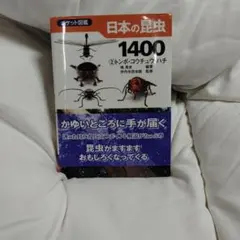 Item thumbnail for item 8173ee5c-7df1-4c52-a859-d9d70aa5e8fe