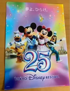 非売品　東京ディズニーリゾート　25周年記念　クリアファイル