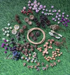 小さなリース材料　木の実色々セット