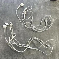 ※ジャンク Apple 有線イヤホン 2本セット ライトニング