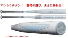 2026年最新】マントラ ローリングスの人気アイテム - メルカリ