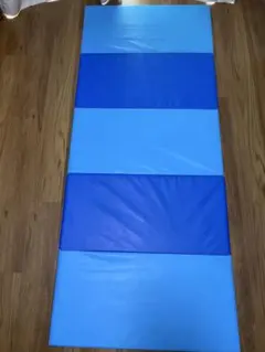 Item thumbnail for item f9c1c0e9-ddac-423a-b376-8f3a8c6373fa