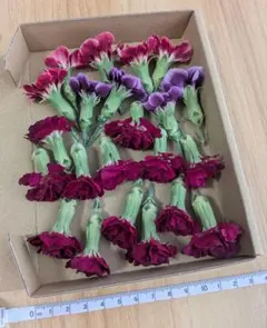 くれあ♡様 リクエスト 3点 まとめ商品