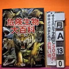 Pooh様 リクエスト 2点 まとめ商品
