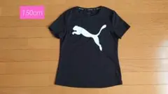 PUMA　Tシャツ　150cm
