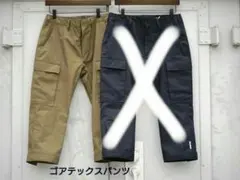 Item thumbnail for item 6f570dc4-72e3-4e82-9b44-348717fd3abf