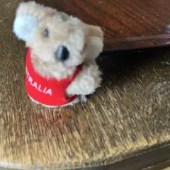 コアラ クリップAUSTRALIAのサムネイル