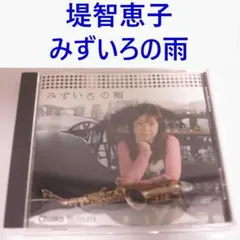 2026年最新】堤智恵子の人気アイテム - メルカリ