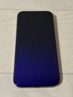 Apple iPhone 14 Pro ディープパープル 本体