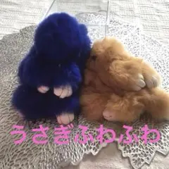 Item thumbnail for item 62a1985b-d2ed-4d6e-9a79-2cdd7d3eb4eb