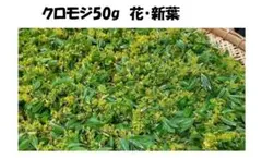 Item thumbnail for item 8169772a-be23-4842-8499-3a08287a482e