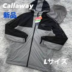 Item thumbnail for item f7a92e87-4e0e-49b7-ade6-56bd5ed7b0c8