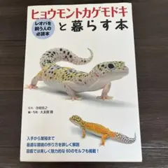 Item thumbnail for item 0e242951-b2b5-4a6e-9c09-66fcfe51cd7f