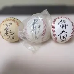 東京ヤクルトスワローズ 山田哲人、小川泰弘、西田明央 直筆サイン